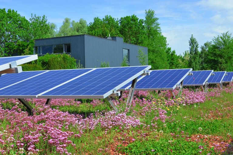 Sistemul de acoperiș verde tip Biosolar