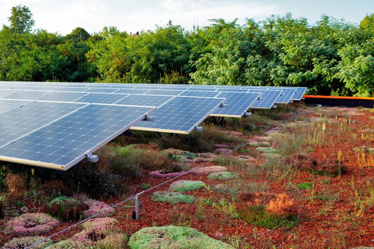 Sistemul de acoperiș verde tip Biosolar