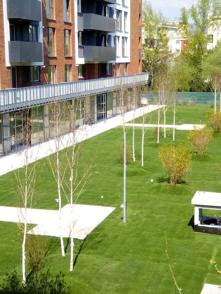 Acoperișul verde intensiv