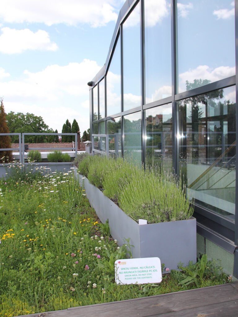 Acoperișul verde semi-intensiv