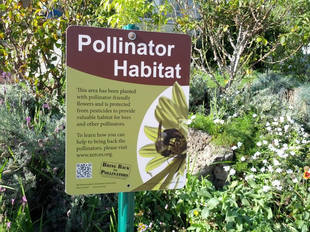 Biodiversitate – Readucerea naturii în mijlocul spațiului construit