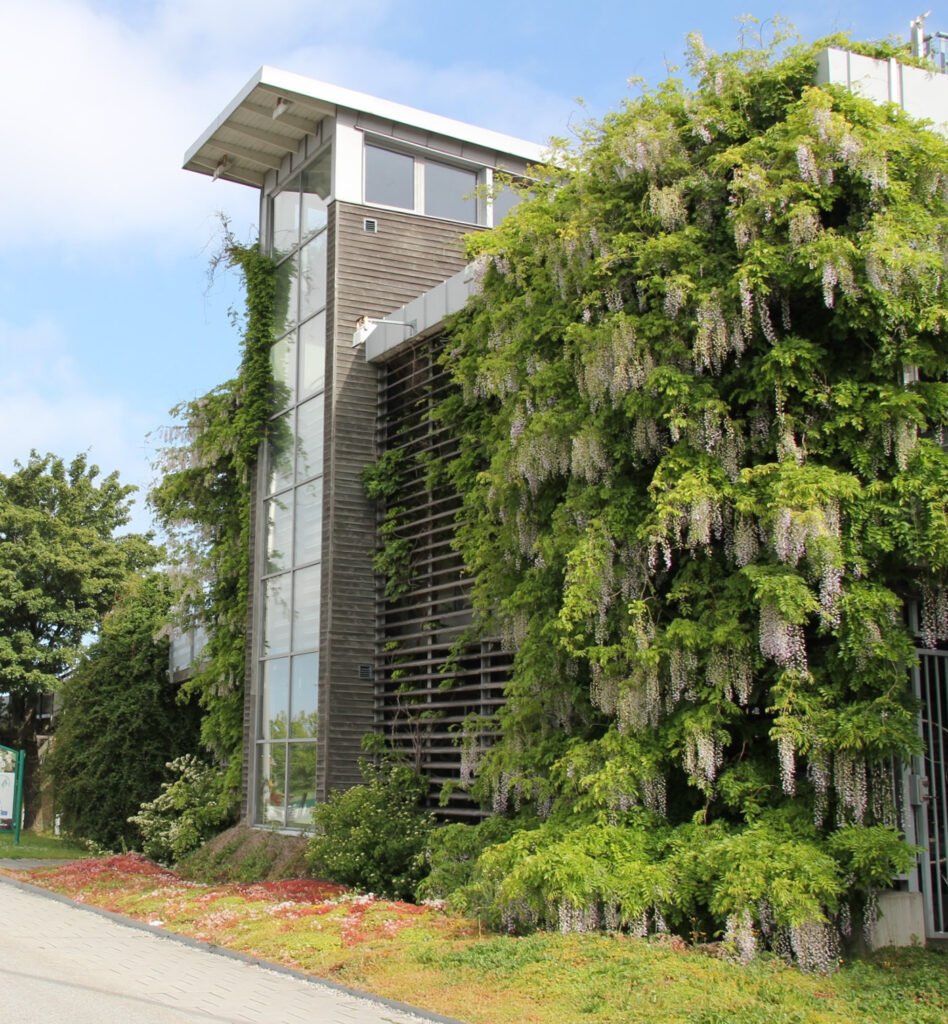 Înverzirea verticală a clădirilor